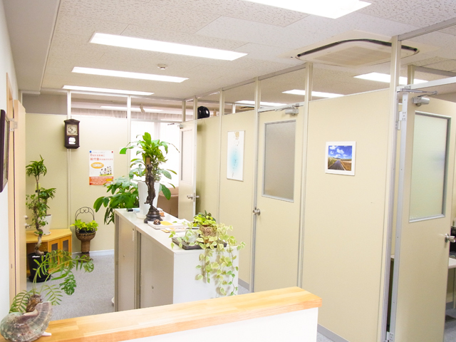 そらうみ法律事務所(弁護士法人空と海 そらうみ法律事務所 奄美事務所) 写真