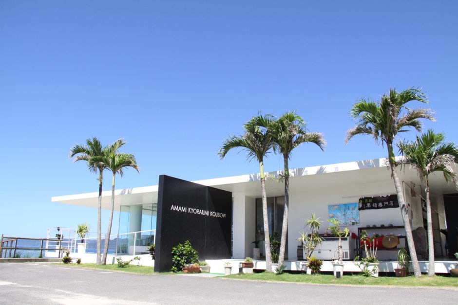 奄美きょら海工房 笠利店 写真