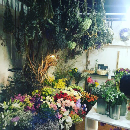 H.O PROJECT（エイチ．オープロジェクト） 写真