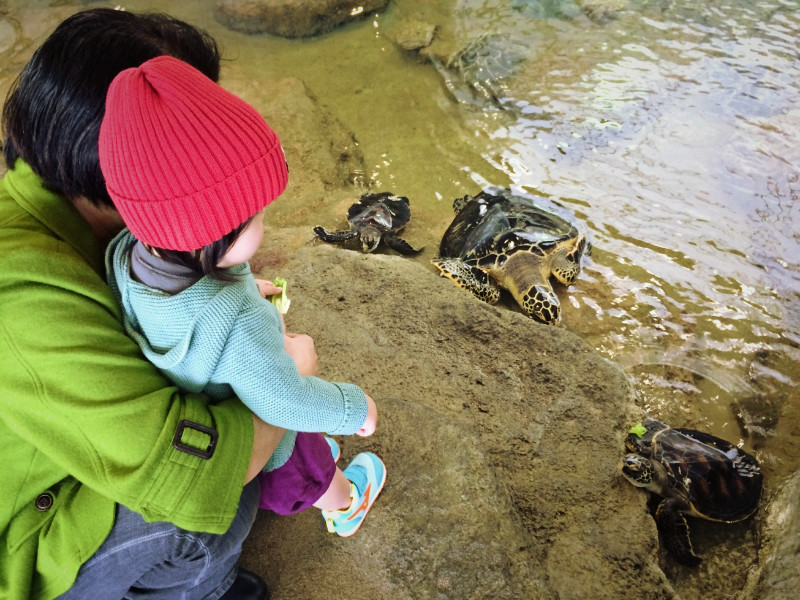 奄美海洋展示館 写真