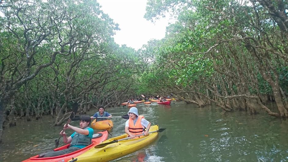 マングローブ茶屋 写真