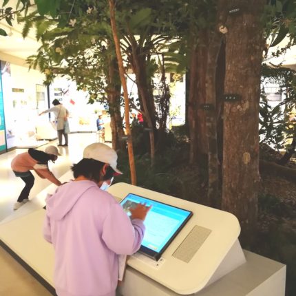 奄美博物館ってどんなところ？さわって楽しい！奄美のいろいろ！